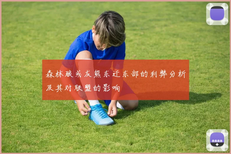 森林狼或灰熊东迁东部的利弊分析及其对联盟的影响